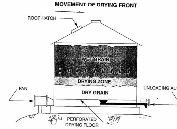 Photo of drying front of a silo. Grain storage systems