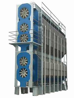 Mixed flow grain dryer