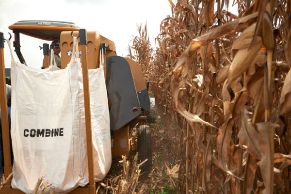 Rental - Maize harvester-1 row - Image 7