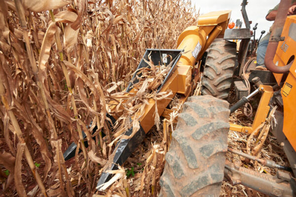 Rental - Maize harvester-1 row - Image 6