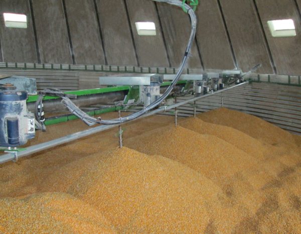 Grain Stirrer-In Silo Drying - Image 4